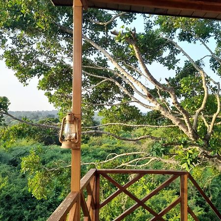 Hotel Leopard Nest - Glamping In Yala Exterior foto