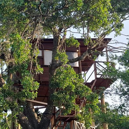 Hotel Leopard Nest - Glamping In Yala Exterior foto