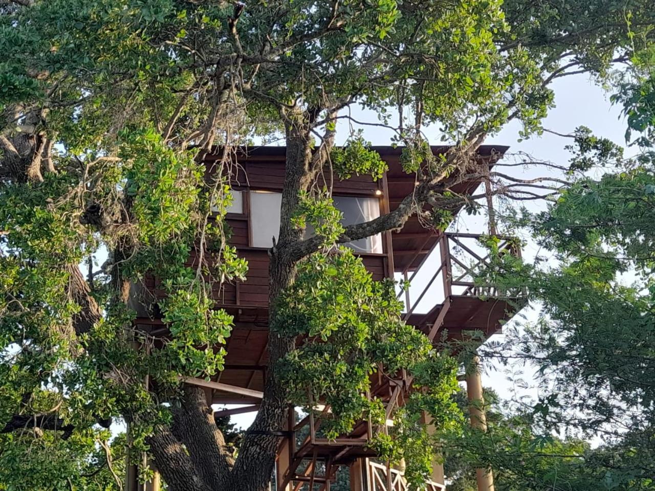 Hotel Leopard Nest - Glamping In Yala Exterior foto