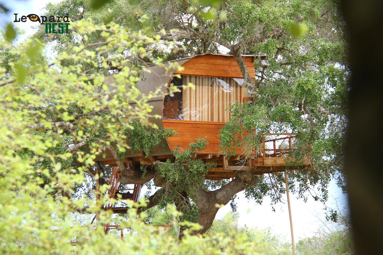 Hotel Leopard Nest - Glamping In Yala Exterior foto