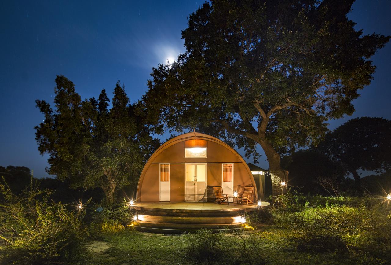 Hotel Leopard Nest - Glamping In Yala Exterior foto
